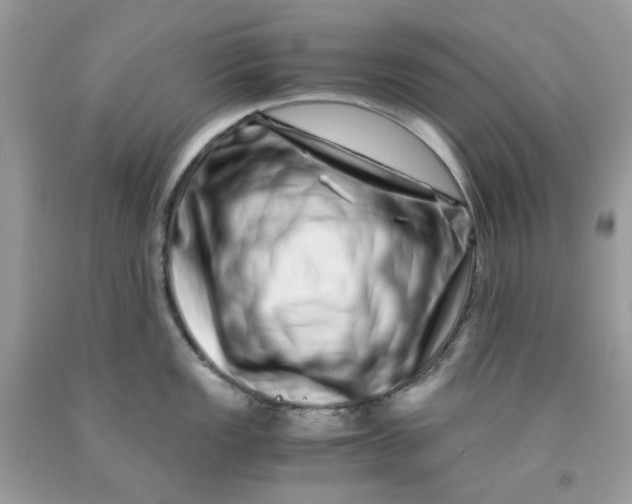 X0000091451149200709061729