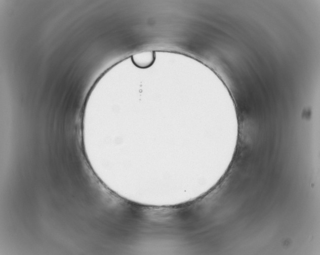 X0000091451150200709061729