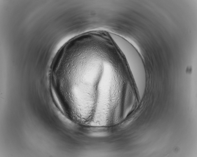 X0000091451151200709061729