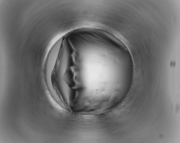 X0000091451152200709061729