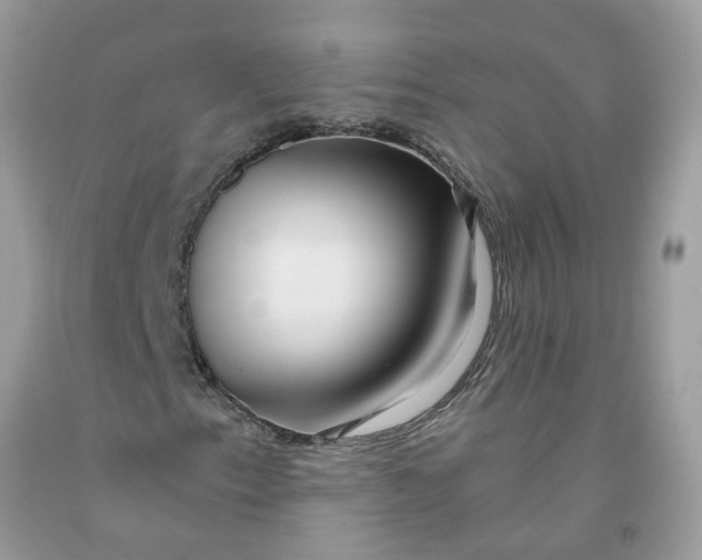 X0000091451153200709061729