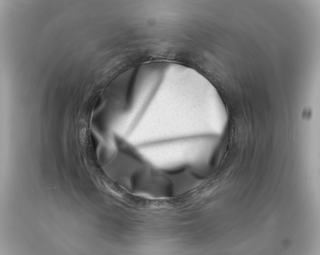 X0000091451154200709061729