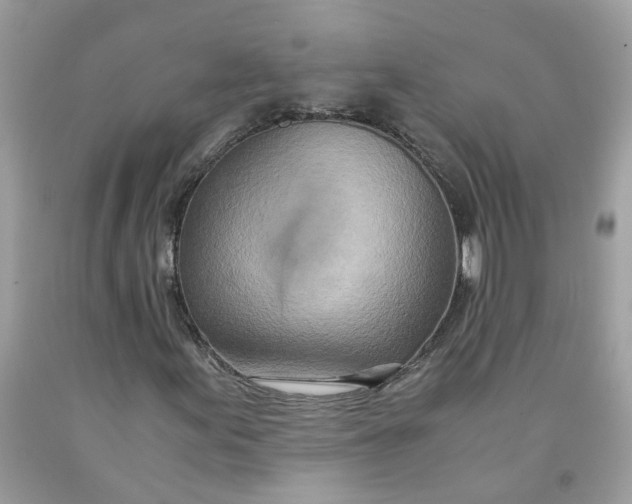 X0000091451155200709061729