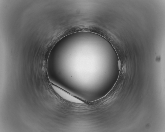 X0000091451156200709061729