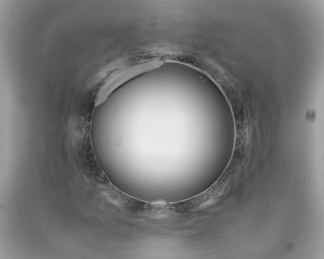 X0000091451157200709061729