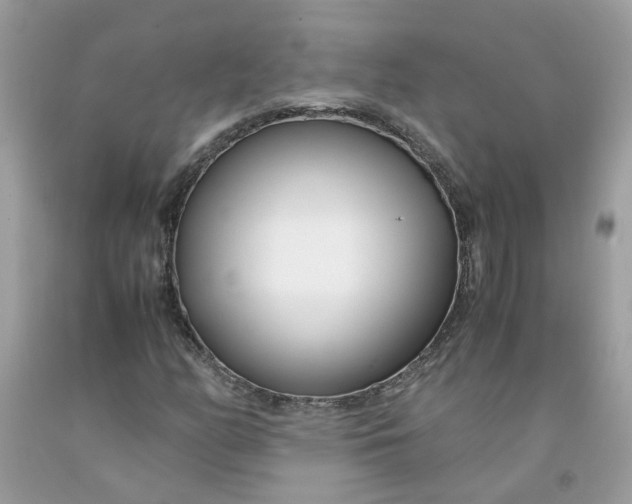 X0000091451158200709061729