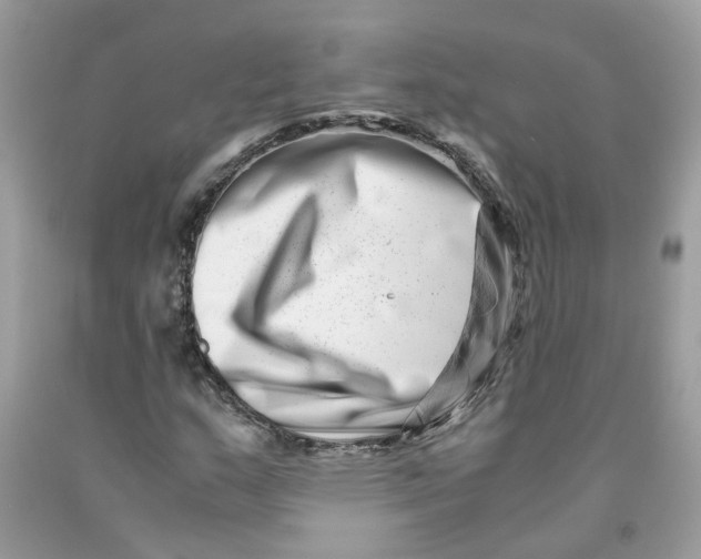 X0000091451159200709061729