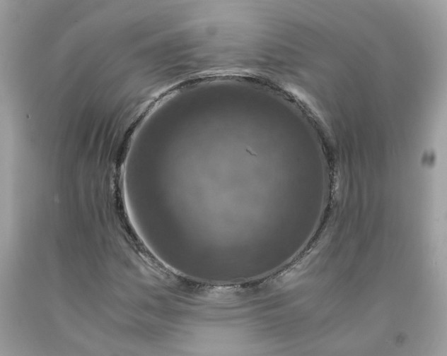 X0000091451161200709061729