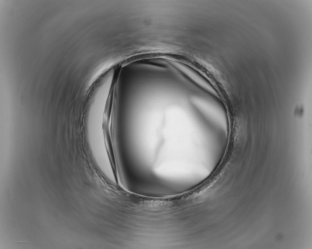 X0000091451163200709061729