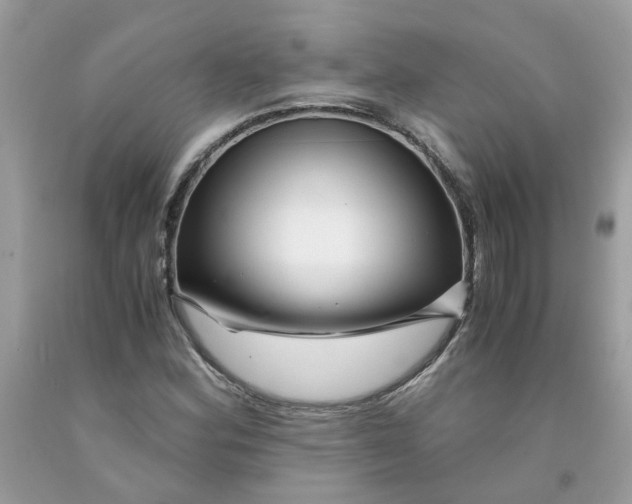 X0000091451164200709061729