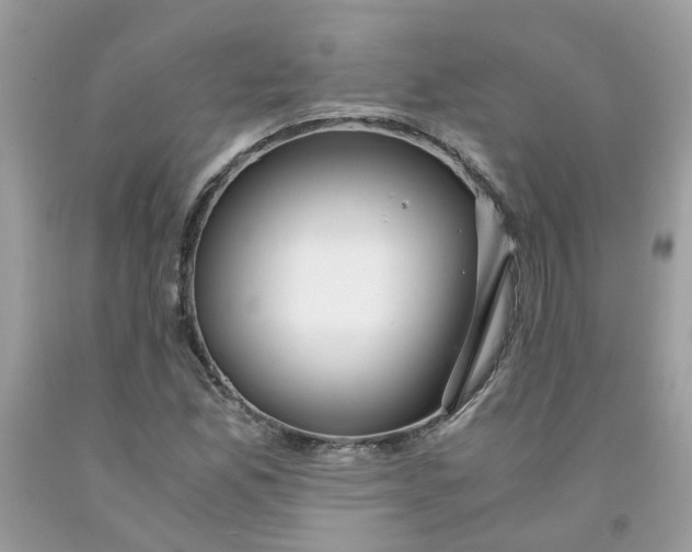 X0000091451165200709061729