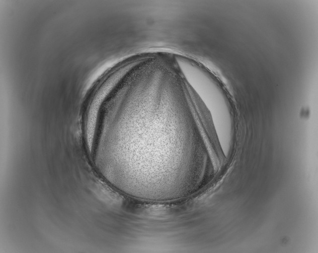 X0000091451167200709061729