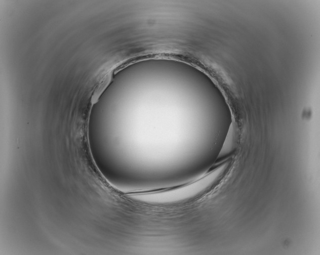 X0000091451169200709061729