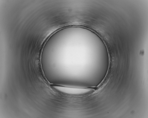 X0000091451170200709061729