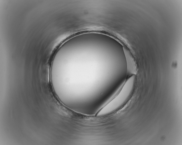 X0000091451171200709061729