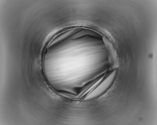 X0000091451172200709061728