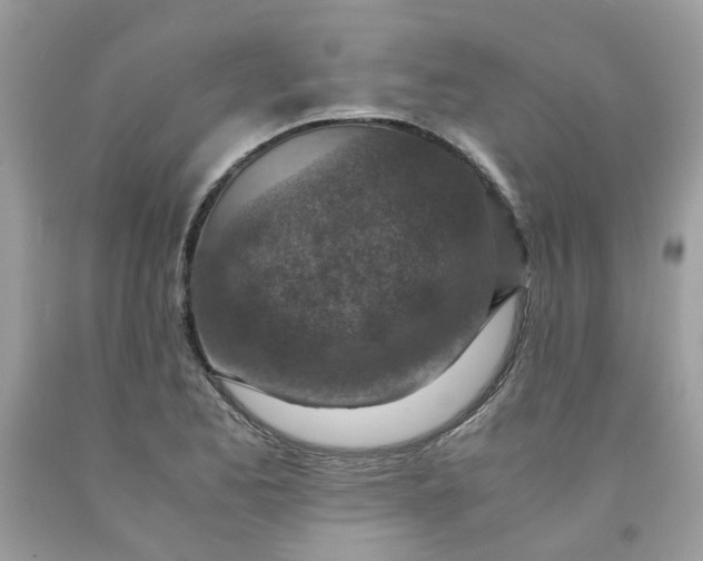 X0000091451173200709061728