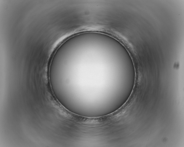 X0000091451174200709061728