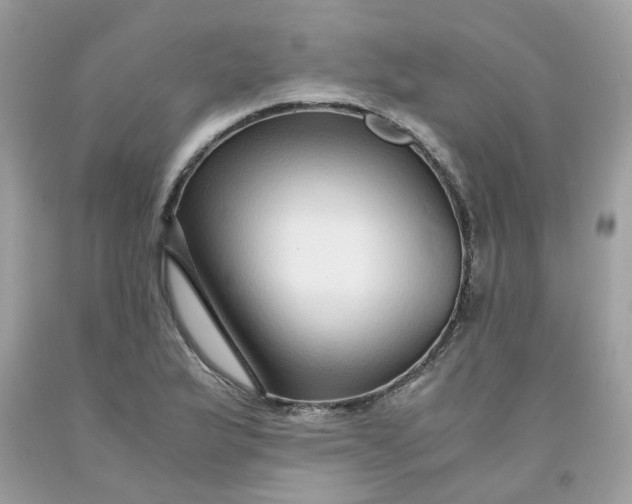 X0000091451175200709061728