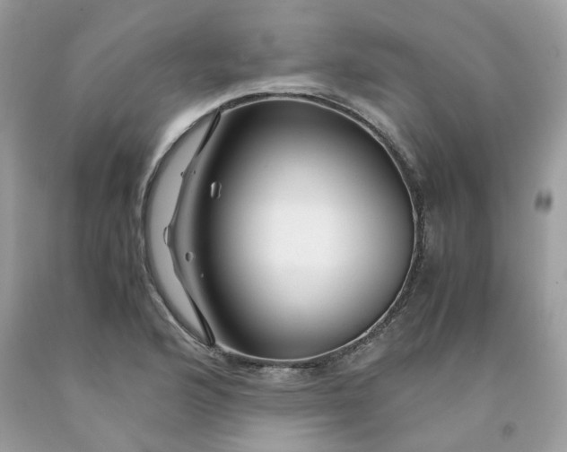 X0000091451176200709061728