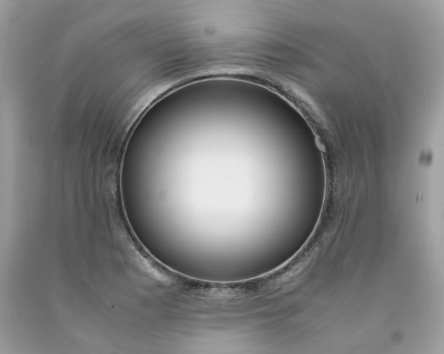 X0000091451177200709061728