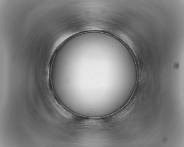 X0000091451179200709061728