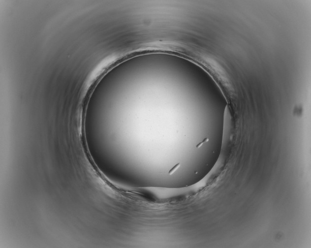 X0000091451180200709061728