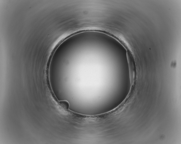 X0000091451181200709061728