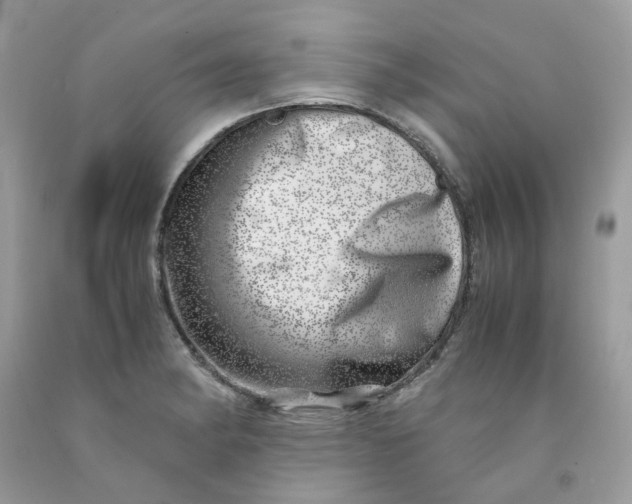 X0000091451182200709061728