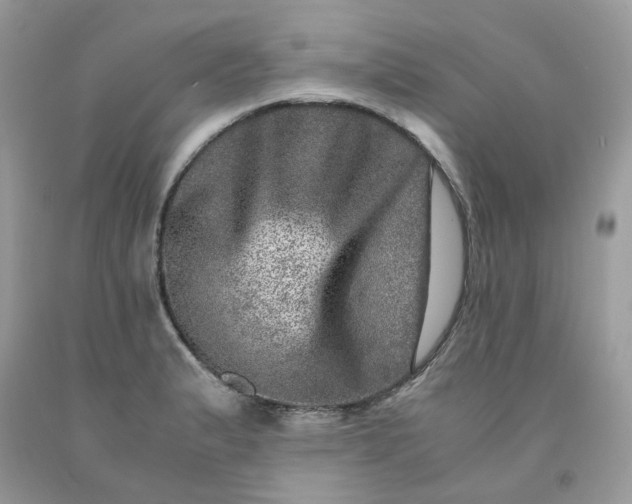 X0000091451183200709061728