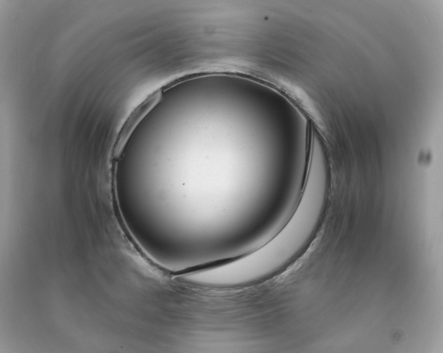 X0000091451184200709061728