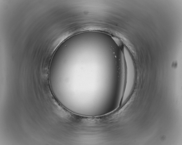 X0000091451185200709061728