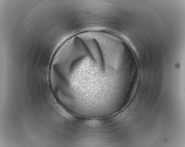 X0000091451186200709061728