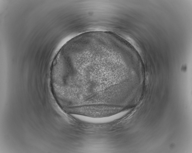 X0000091451187200709061728