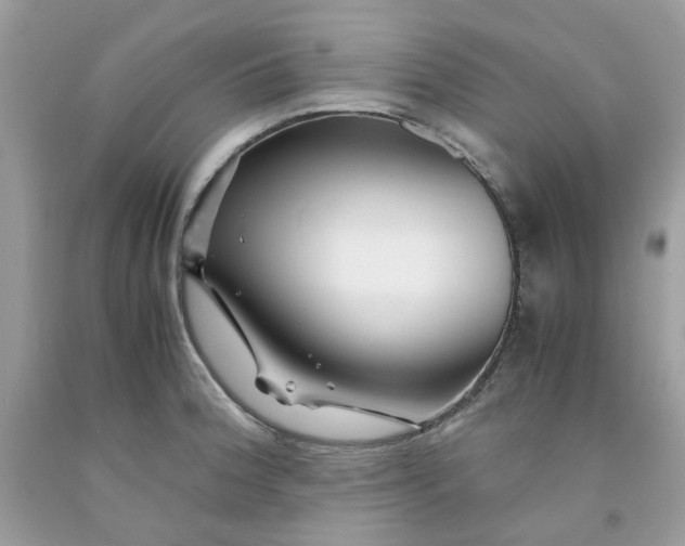 X0000091451188200709061728