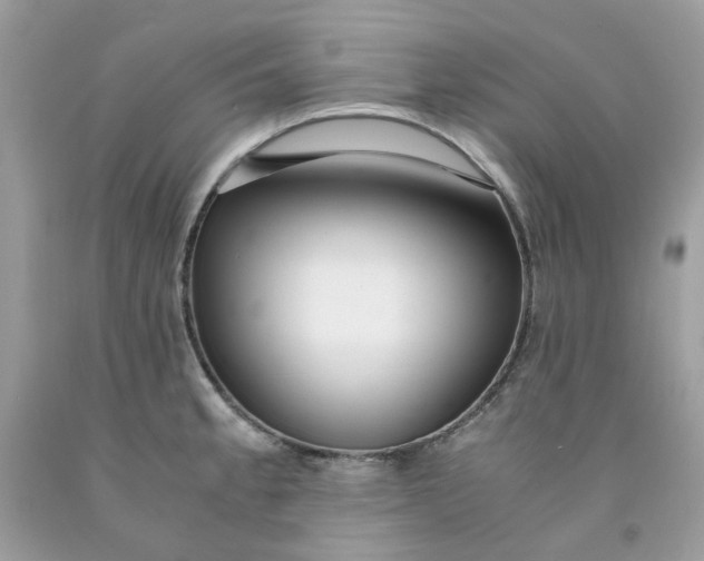 X0000091451189200709061728