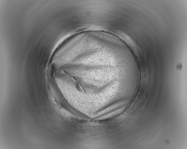 X0000091451190200709061728