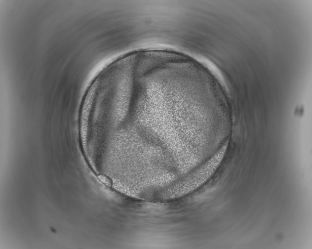 X0000091451191200709061728