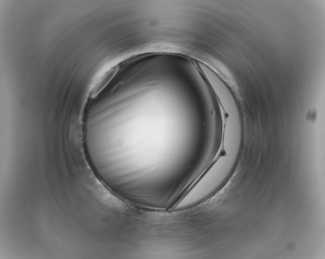 X0000091451192200709061728