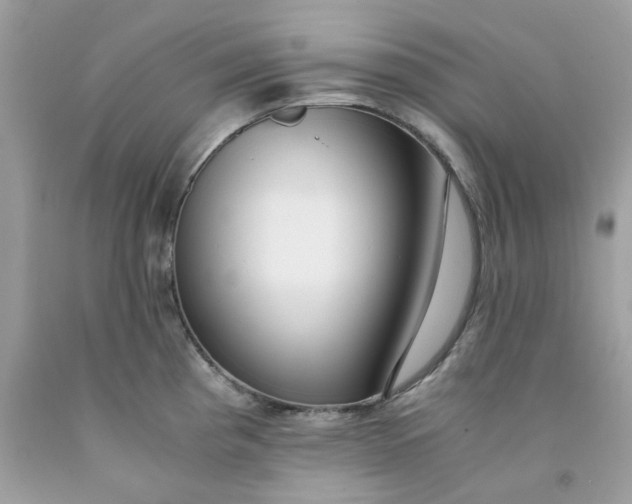 X0000091451193200709061728