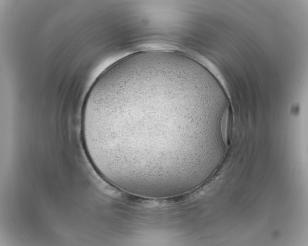 X0000091451195200709061728