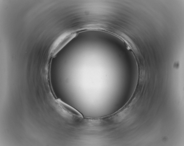 X0000091451196200709061728