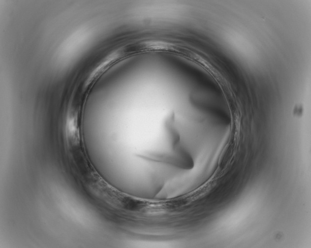 X0000091451198200709061728