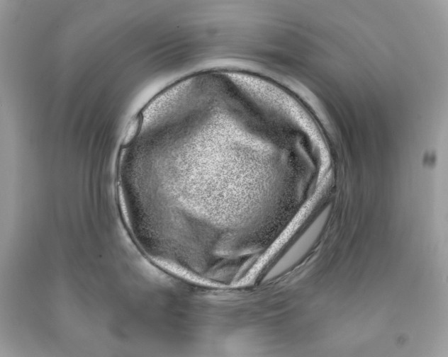 X0000091451199200709061728