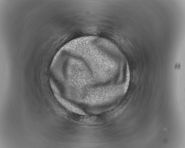 X0000091451201200709061727