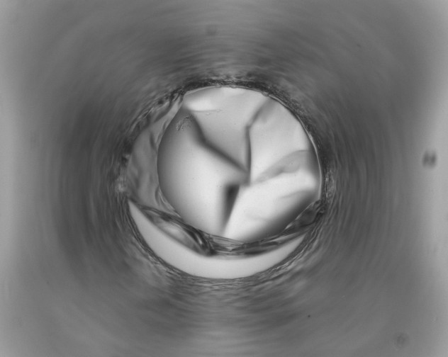 X0000091451202200709061727