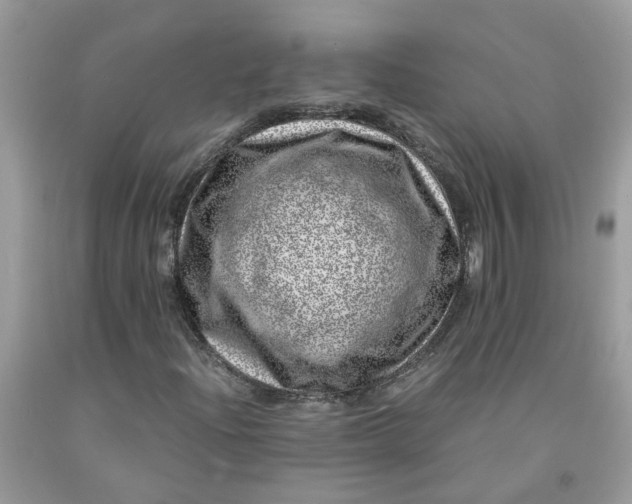 X0000091451204200709061727