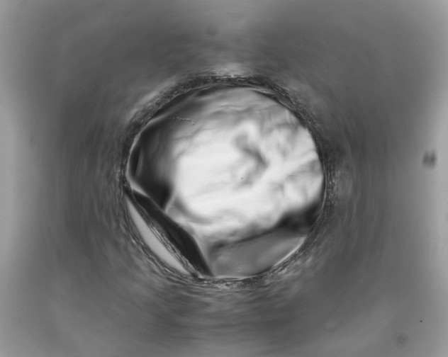 X0000091451205200709061727