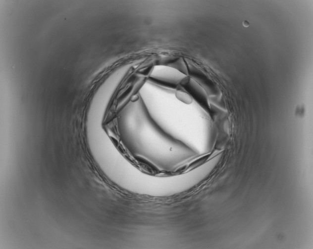 X0000091451206200709061727