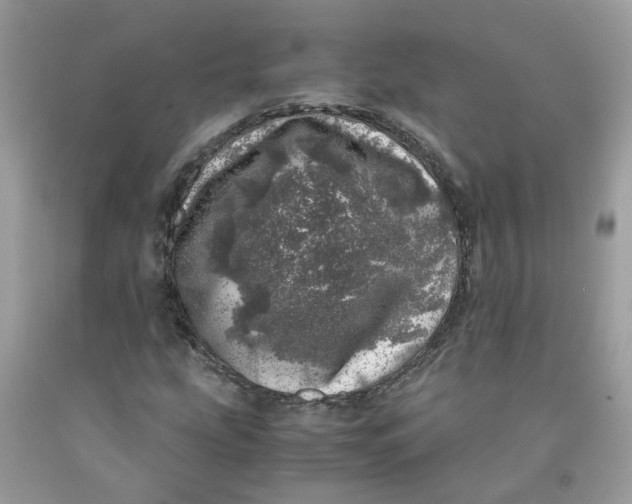 X0000091451207200709061727